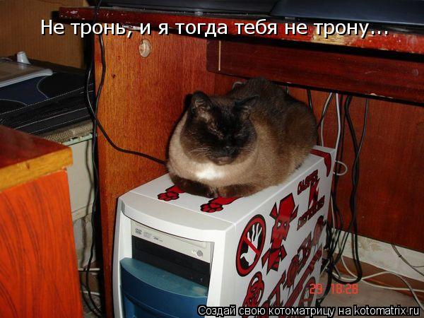 Не тронь, и я тогда тебя не трону...... Котоматрица: Не тронь, и я тогда тебя не трону...