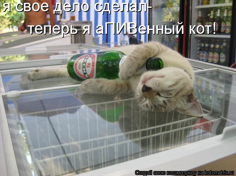 Котоматрица: я свое дело сделал- теперь я аПИВенный кот!