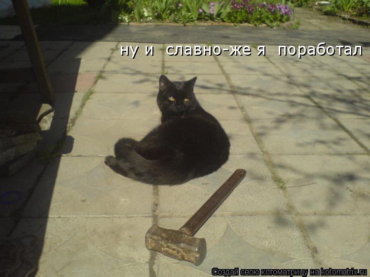 Котоматрица: ну и  славно-же я  поработал