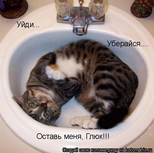 Котоматрица: Уйди... Уберайся.... Оставь меня, Глюк!!!