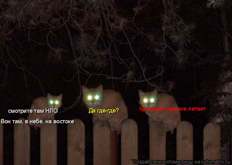 Котоматрица: смотрите там НЛО Да где-где? Вон там, в небе, на востоке Красивая тарелка летает