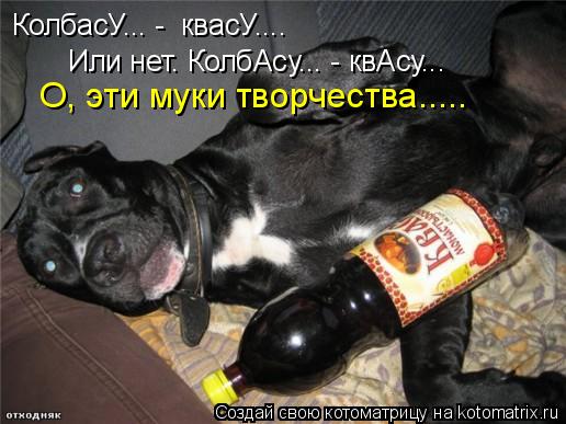 Котоматрица: КолбасУ... -  квасУ.... Или нет. КолбАсу... - квАсу... О, эти муки творчества.....