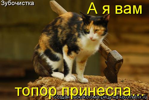 Котоматрица: Зубочистка А я вам топор принесла...