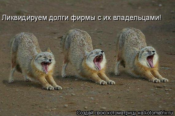 Ликвидируем долги фирмы с их владельцами!... Котоматрица: Ликвидируем долги фирмы с их владельцами!