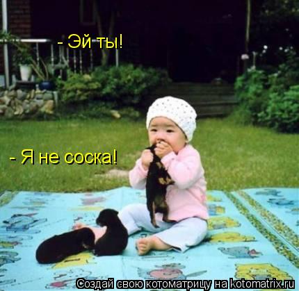 - Эй ты! - Я не соска!... Котоматрица: - Эй ты! - Я не соска!