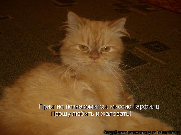 Котоматрица: Приятно познакомится: миссис Гарфилд Прошу любить и жаловать!