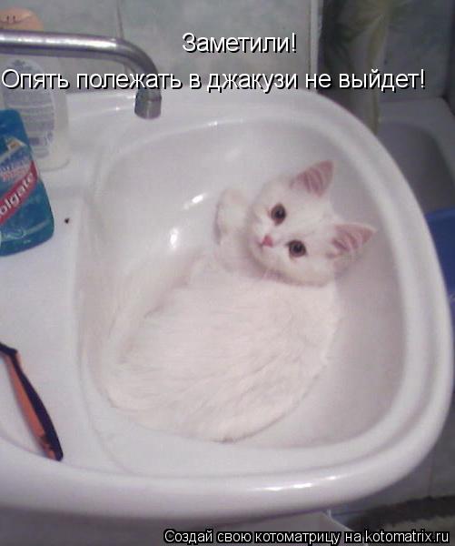 Котоматрица: Заметили! Опять полежать в джакузи не выйдет!