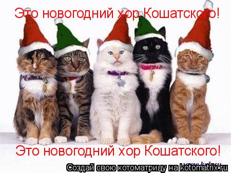 Это новогодний хор Кошатского! Это новогодний хор Кошатского!... Котоматрица: Это новогодний хор Кошатского! Это новогодний хор Кошатского!