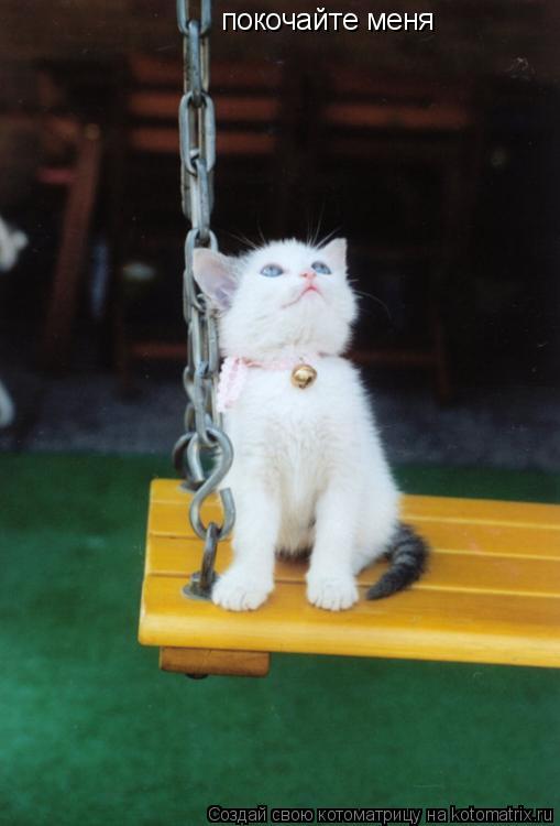 Котоматрица: покочайте меня