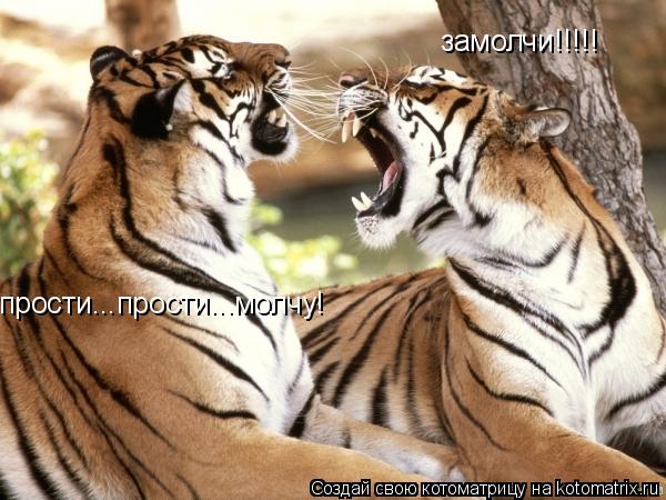 Котоматрица: прости...прости...молчу! замолчи!!!!!