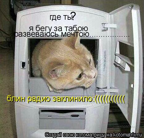 где ты ? я бегу за табою развеваюсь мечтою.................. блин радио заклинило:(((((((((((... Котоматрица: где ты ? я бегу за табою развеваюсь мечтою.................. блин радио заклинило:(((((((((((