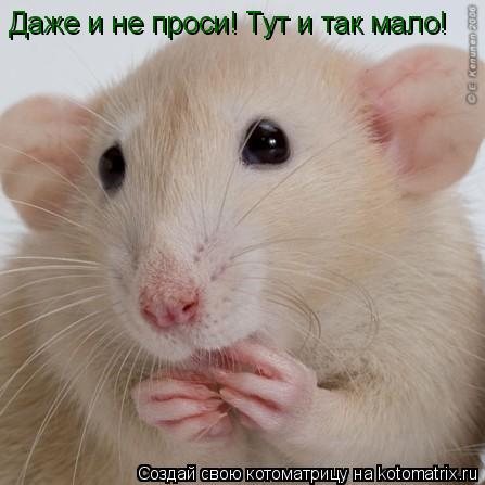 Даже и не проси! Тут и так мало!... Котоматрица: Даже и не проси! Тут и так мало!