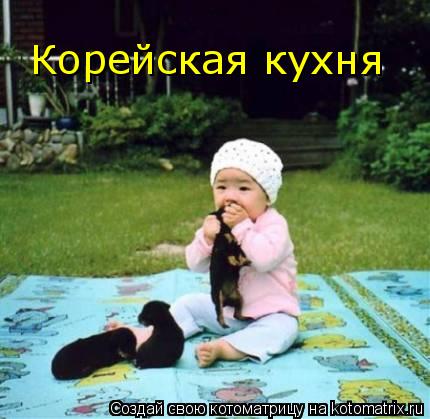 Котоматрица: Корейская кухня