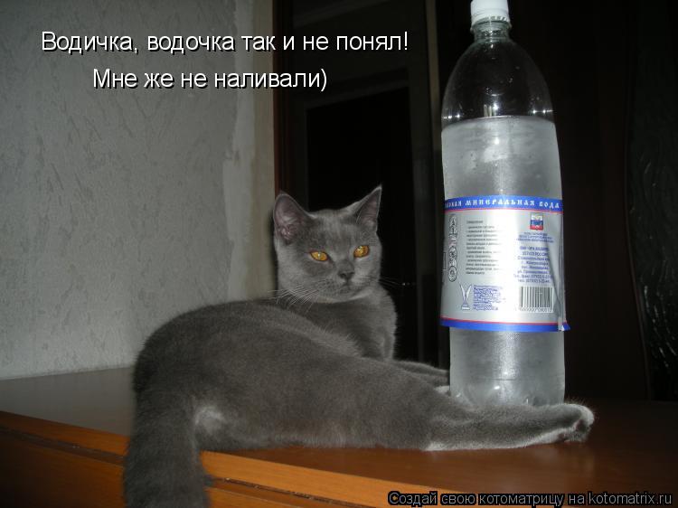 Котоматрица: Водичка, водочка так и не понял! Мне же не наливали)