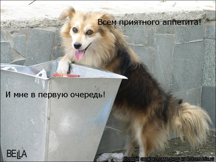 Котоматрица: Всем приятного аппетита! И мне в первую очередь!