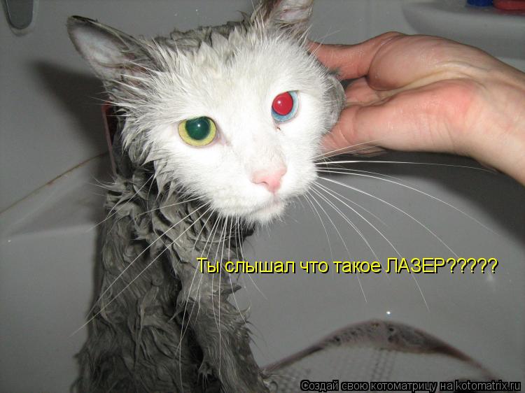 Котоматрица: Ты слышал что такое ЛАЗЕР?????