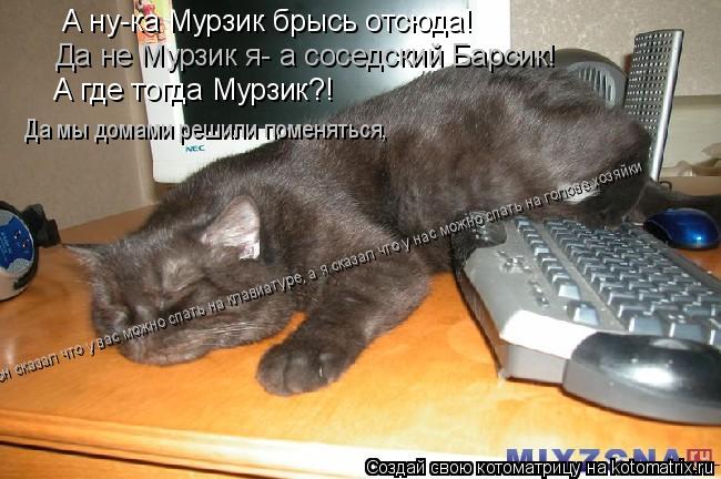 Котоматрица: А ну-ка Мурзик брысь отсюда! Да не Мурзик я- а соседский Барсик! А где тогда Мурзик?! Да мы домами решили поменяться,  он сказал что у вас можно 