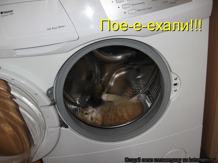 Пое-е-ехали!!!... Котоматрица: Пое-е-ехали!!!