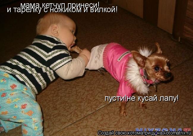 Котоматрица: пусти!не кусай лапу! мама,кетчуп принеси! и тарелку с ножиком и вилкой!