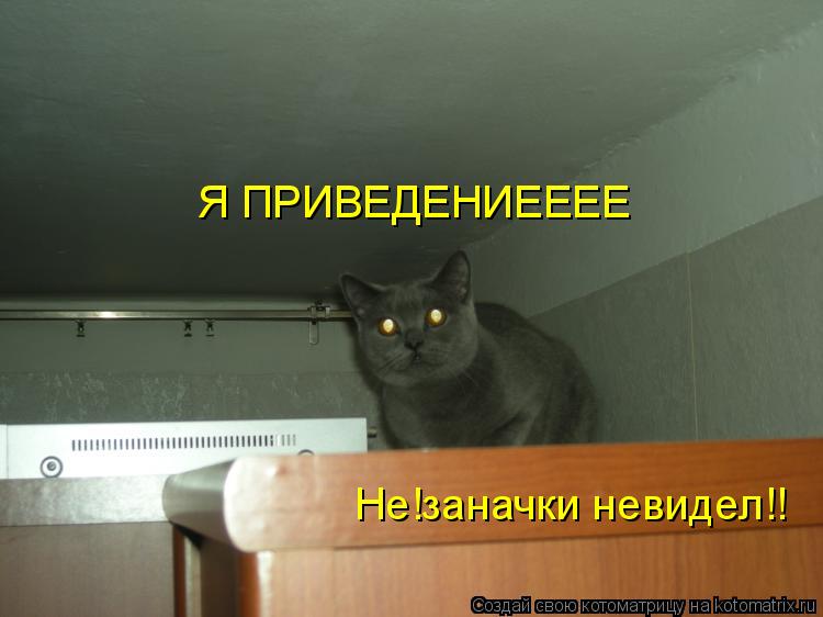Я ПРИВЕДЕНИЕЕЕЕ Не!заначки невидел!!... Котоматрица: Я ПРИВЕДЕНИЕЕЕЕ Не!заначки невидел!!