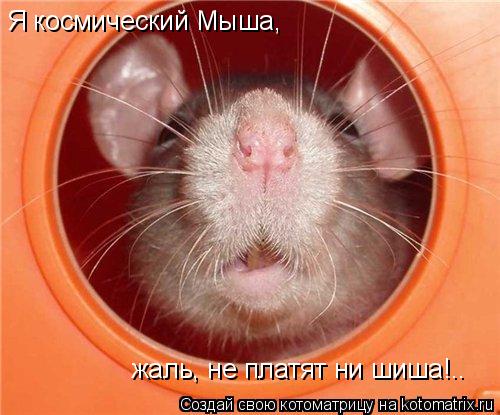 Котоматрица: Я космический Мыша, жаль, не платят ни шиша!..