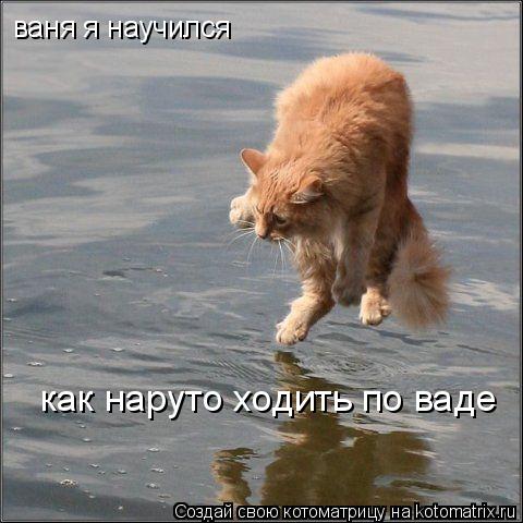 Котоматрица: ваня я научился  как наруто ходить по ваде