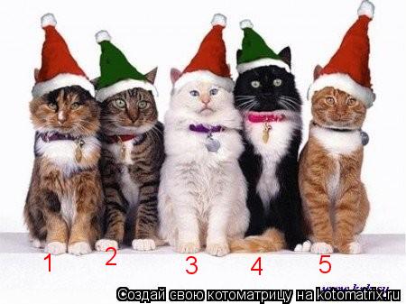 1 2 3 4 5... Котоматрица: 1 2 3 4 5