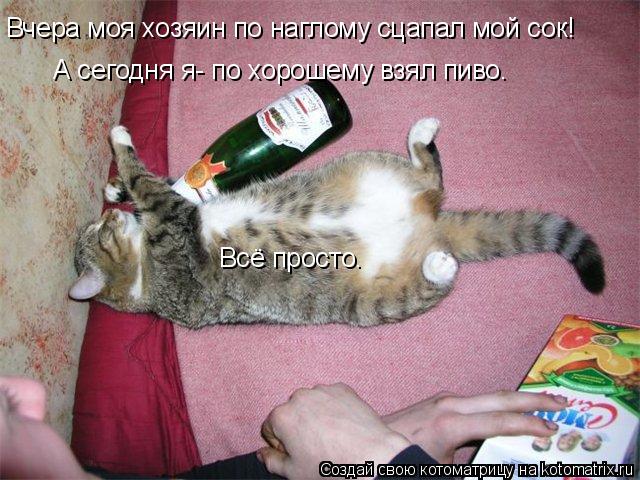 Вчера моя хозяин по наглому сцапал мой сок! А сегодня я- по хорошему взял пиво. Всё просто.... Котоматрица: Вчера моя хозяин по наглому сцапал мой сок! А сегодня я- по хорошему взял пиво. Всё просто.