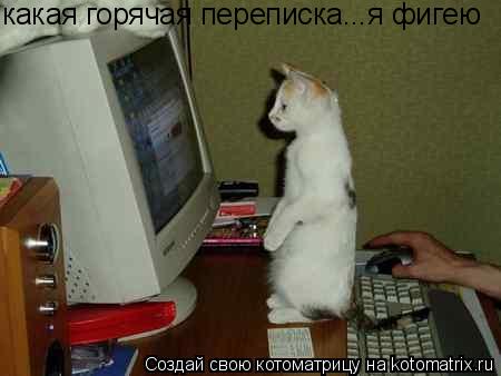 какая горячая переписка...я фигею... Котоматрица: какая горячая переписка...я фигею