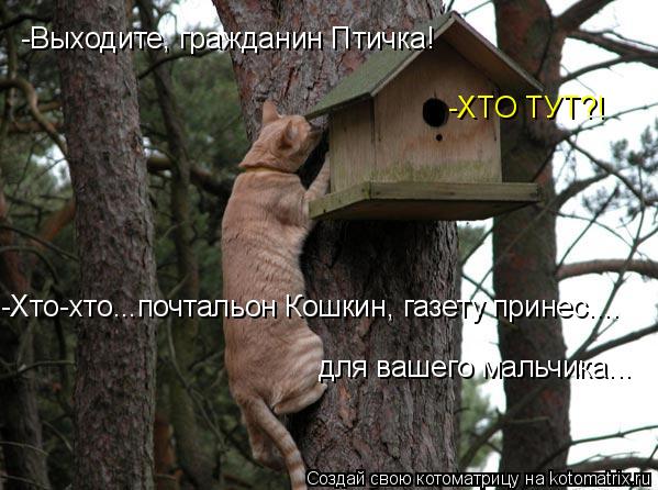 Котоматрица: -Выходите, гражданин Птичка! -ХТО ТУТ?! -Хто-хто...почтальон Кошкин, газету принес.... для вашего мальчика...