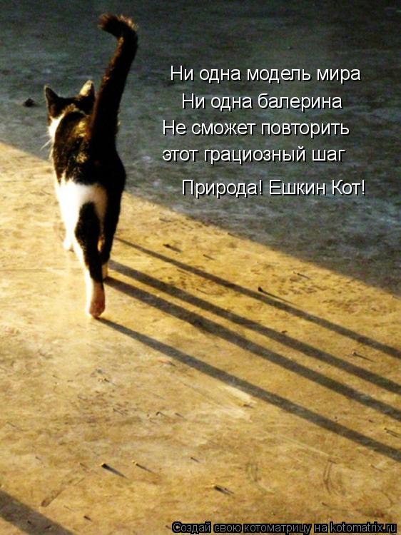 Ни одна модель мира Ни одна балерина Не сможет повторить этот грациозный шаг Природа! Ешкин Кот!... Котоматрица: Ни одна модель мира Ни одна балерина Не сможет повторить этот грациозный шаг Природа! Ешкин Кот!