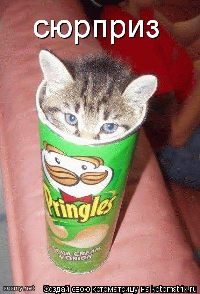 сюрприз... Котоматрица: сюрприз