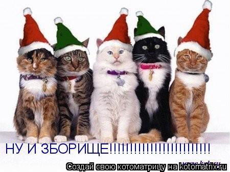 Н Н НУ И ЗБОРИЩЕ!!!!!!!!!!!!!!!!!!!!!!!!!... Котоматрица: Н Н НУ И ЗБОРИЩЕ!!!!!!!!!!!!!!!!!!!!!!!!!