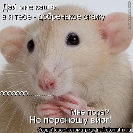 Котоматрица: Дай мне кашки, а я тебе - добренькое скажу эээээээ............ Мне пора? Не переношу визг!