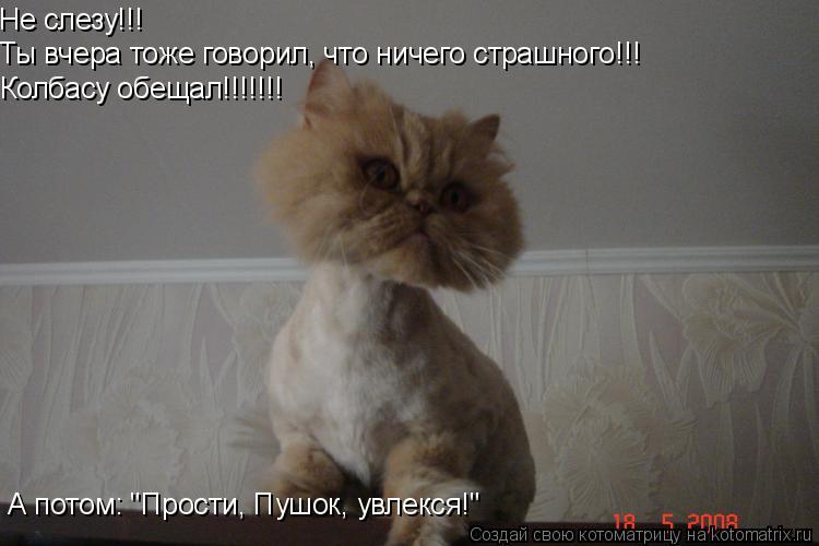 Котоматрица: Не слезу!!! Ты вчера тоже говорил, что ничего страшного!!! Колбасу обещал!!!!!!! А потом: "Прости, Пушок, увлекся!"