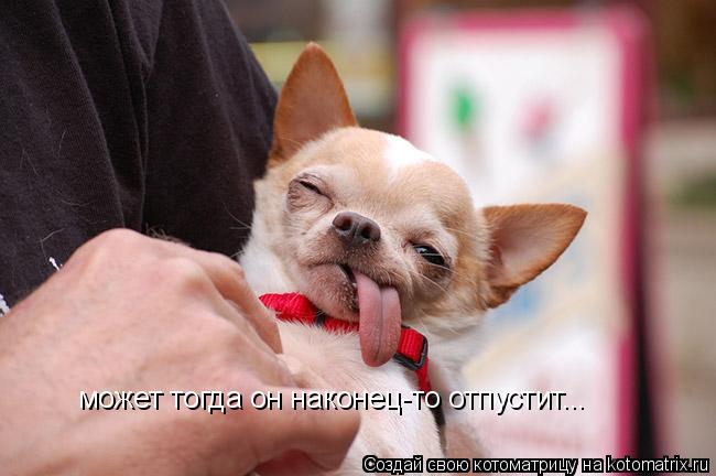 Котоматрица: может тогда он наконец-то отпустит...