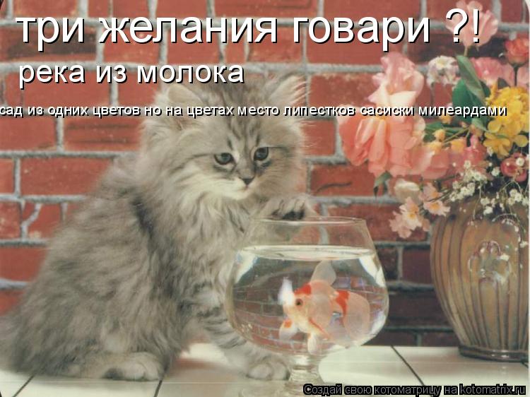 Котоматрица: три желания говари ?! река из молока  сад из одних цветов но на цветах место липестков сасиски милеардами