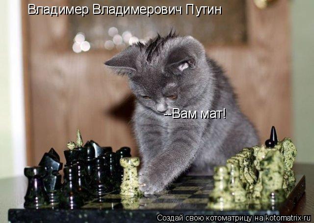 Владимер Владимерович Путин --Вам мат!... Котоматрица: Владимер Владимерович Путин --Вам мат!