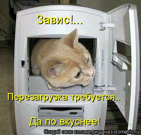 Котоматрица: Перезагрузка требуется..  Да по вкуснее! Завис!...