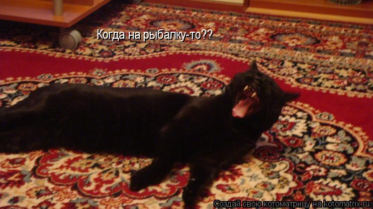 Когда на рыбалку-то??... Котоматрица: Когда на рыбалку-то??