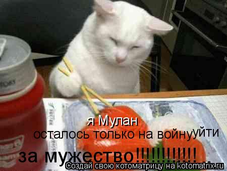 Котоматрица: я Мулан  осталось только на войну за мужество!!!!!!!!!!!! уйти