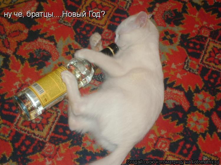 ну че, братцы....Новый Год?... Котоматрица: ну че, братцы....Новый Год?