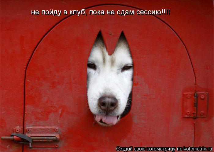 не пойду в клуб, пока не сдам сессию!!!!... Котоматрица: не пойду в клуб, пока не сдам сессию!!!!