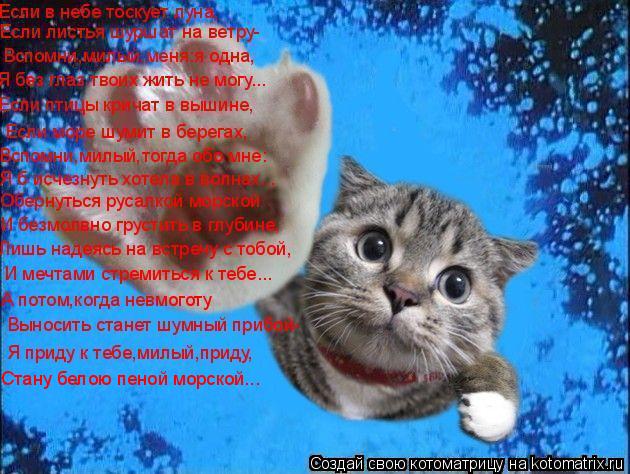 Котоматрица: Стану белою пеной морской...