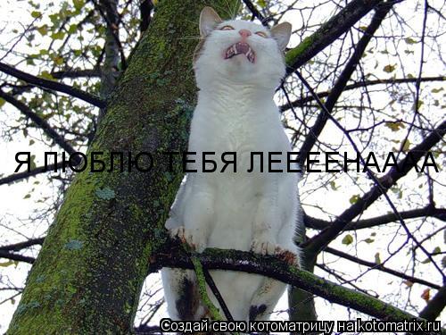 Я ЛЮБЛЮ ТЕБЯ ЛЕЕЕЕНАААА... Котоматрица: Я ЛЮБЛЮ ТЕБЯ ЛЕЕЕЕНАААА