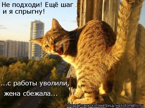 Не подходи! Ещё шаг и я спрыгну! ...с работы уволили, жена сбежала...... Котоматрица: Не подходи! Ещё шаг и я спрыгну! ...с работы уволили, жена сбежала...