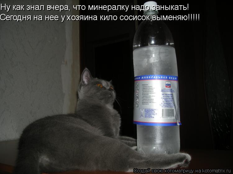 Ну как знал вчера, что минералку надо заныкать! Сегодня на нее у хозяина кило сосисок выменяю!!!!!... Котоматрица: Ну как знал вчера, что минералку надо заныкать! Сегодня на нее у хозяина кило сосисок выменяю!!!!!