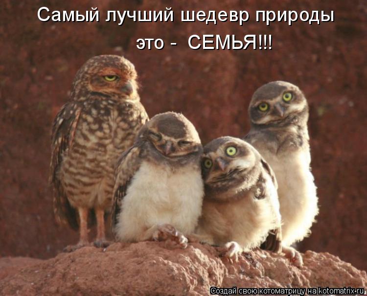 Самый лучший шедевр природы это - СЕМЬЯ!!!... Котоматрица: Самый лучший шедевр природы это - СЕМЬЯ!!!