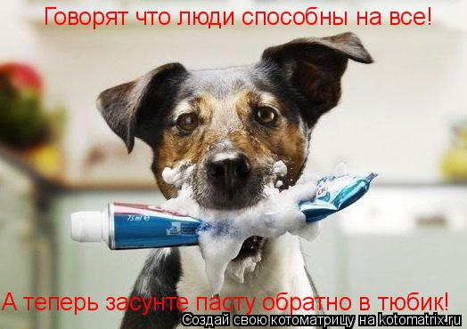 Котоматрица: Говорят что люди способны на все! А теперь засунте пасту обратно в тюбик!