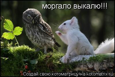 Котоматрица: моргало выкалю!!!